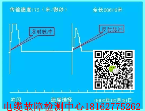 脉冲法草莓短视频下载检测.png