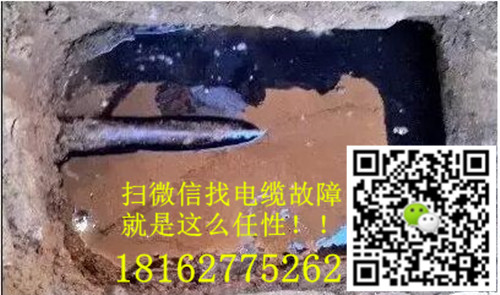微信就可以找草莓短视频下载了.jpg