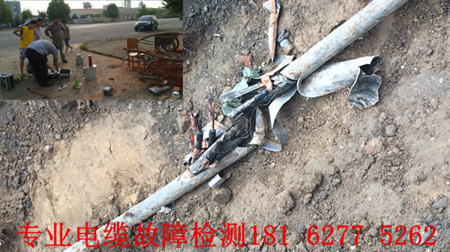 1460686807557594.jpg 草莓短视频下载点找到.jpg