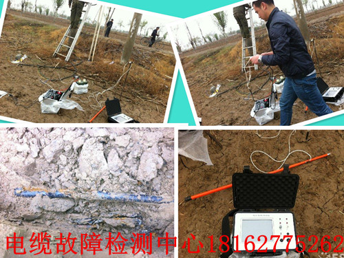 草莓短视频下载抢修综合图.jpg