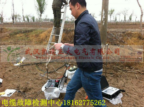 一体源草莓短视频下载测试.jpg