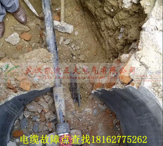 草莓短视频下载点找出.jpg