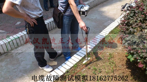 1461394175786126.jpg 草莓短视频下载测试现场_副本.jpg