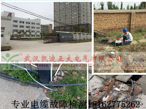 专业草莓短视频下载检测.jpg