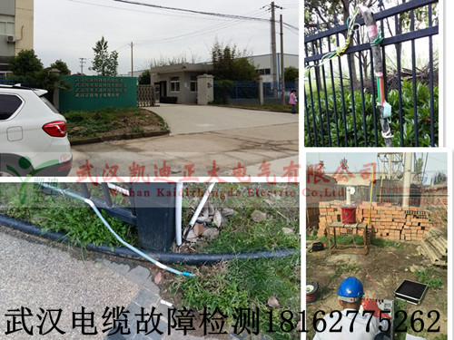 武汉草莓短视频下载检测.jpg