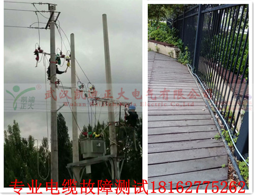 草莓短视频下载检测查找.jpg