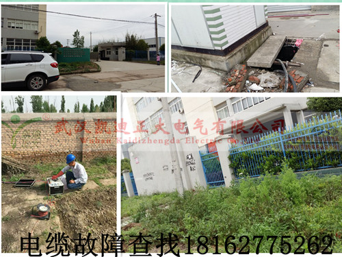 1461720585838025.jpg 高压草莓短视频下载检测.jpg