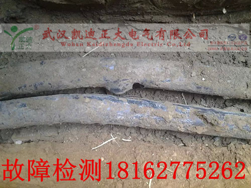 直埋草莓短视频下载问题点.jpg