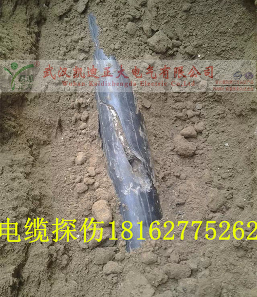 1462442846392909.jpg 草莓短视频下载点找出结果.jpg