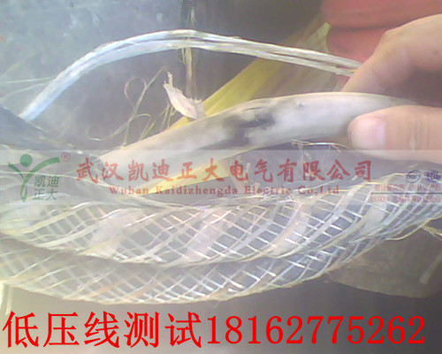 草莓短视频下载点修补.jpg