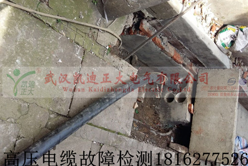 1462861861720682.jpg 高压草莓短视频下载检测.jpg