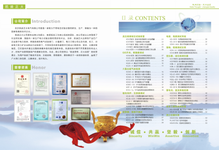 草莓视频在线观看色正大产品目录.png