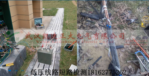草莓短视频下载查找图.png