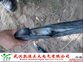 1464161446373506.jpg 草莓短视频下载测试点.jpg