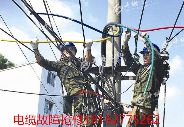 草莓短视频下载测试.jpg