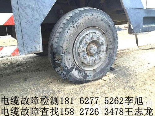 草莓短视频下载检测.jpg