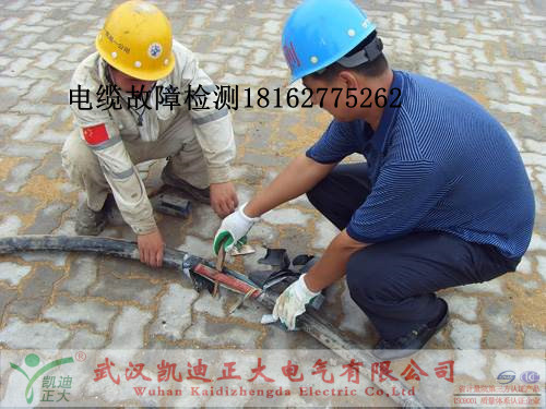 草莓短视频下载检测.jpg
