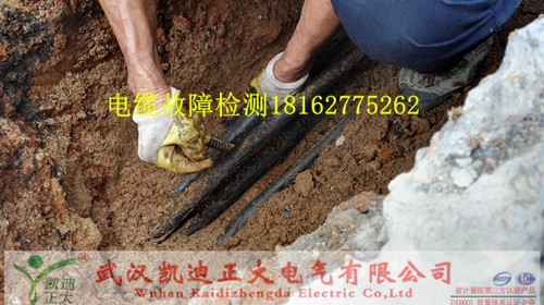 草莓短视频下载测试仪.jpg