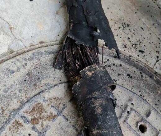 1601342215951126.jpg QQ截图20200929091300.jpg