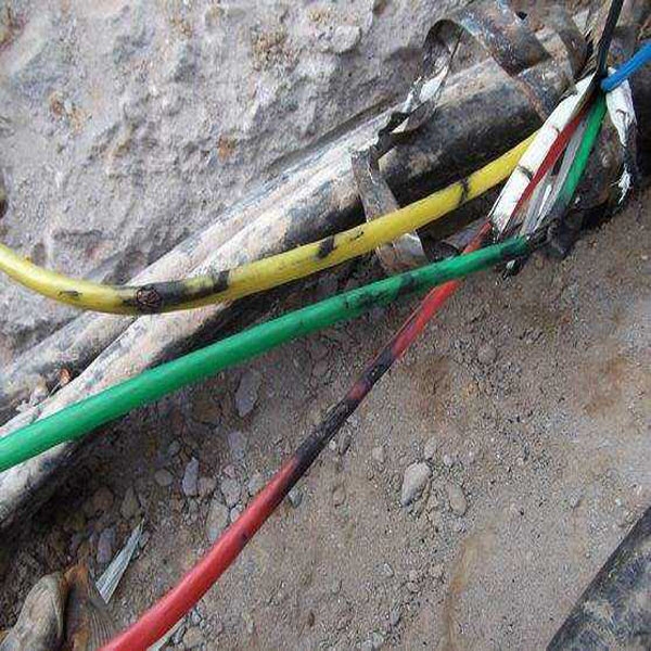 1606120799243174.jpg 191230183729124.jpg