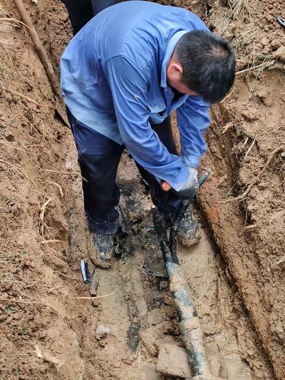 1625795855601533.jpg 1625795855601533.jpg