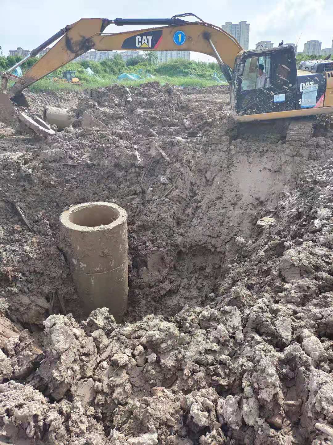 1630292438476255.jpg 1630292438476255.jpg