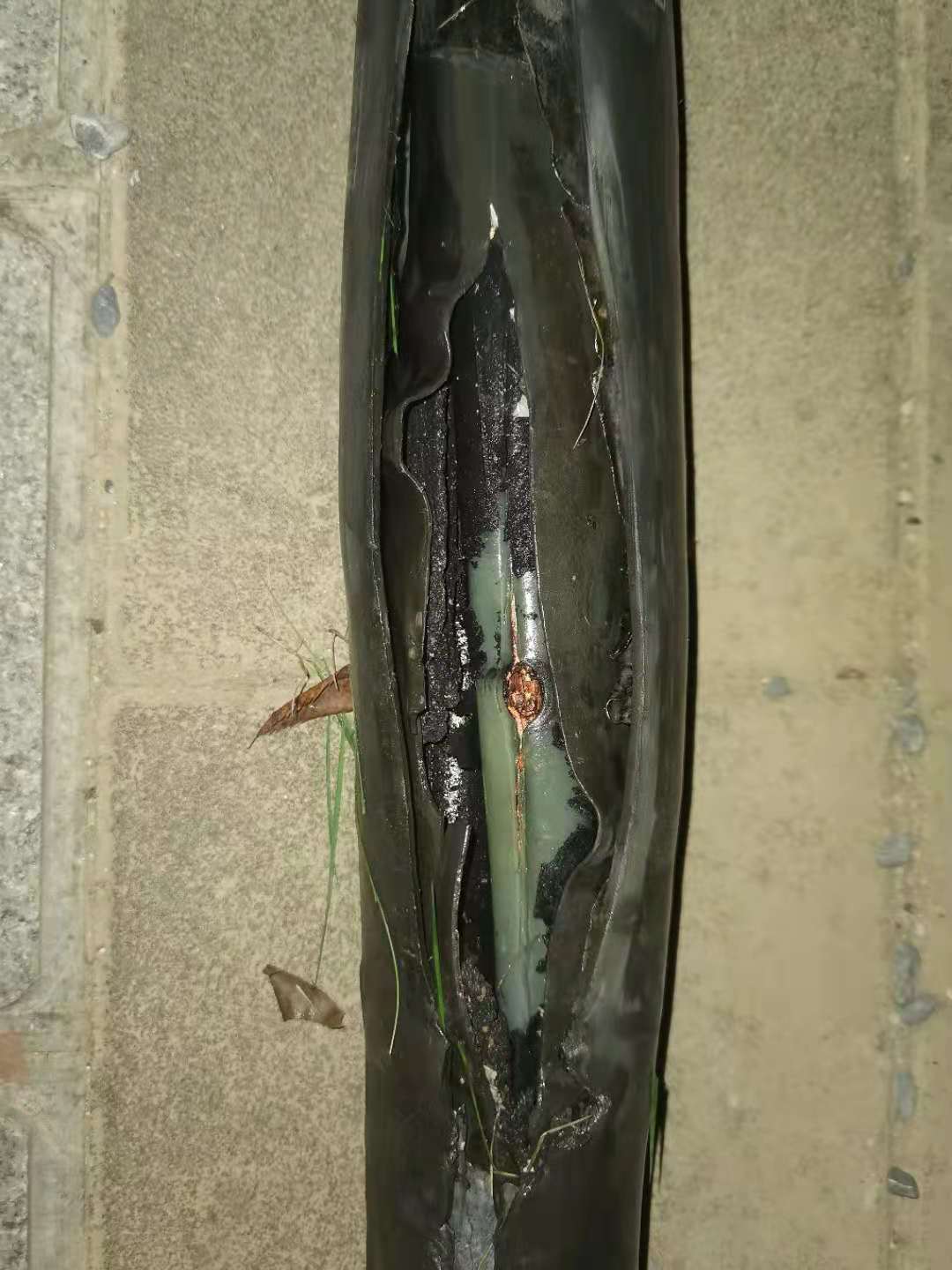 1630375002233785.jpg 1630375002233785.jpg