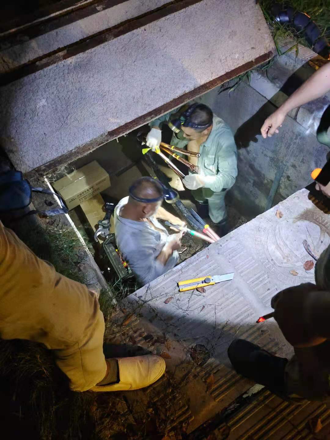 1630375104236149.jpg 1630375104236149.jpg