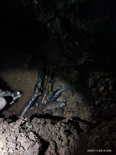 1637907292673484.jpg 1637907245403547.jpg