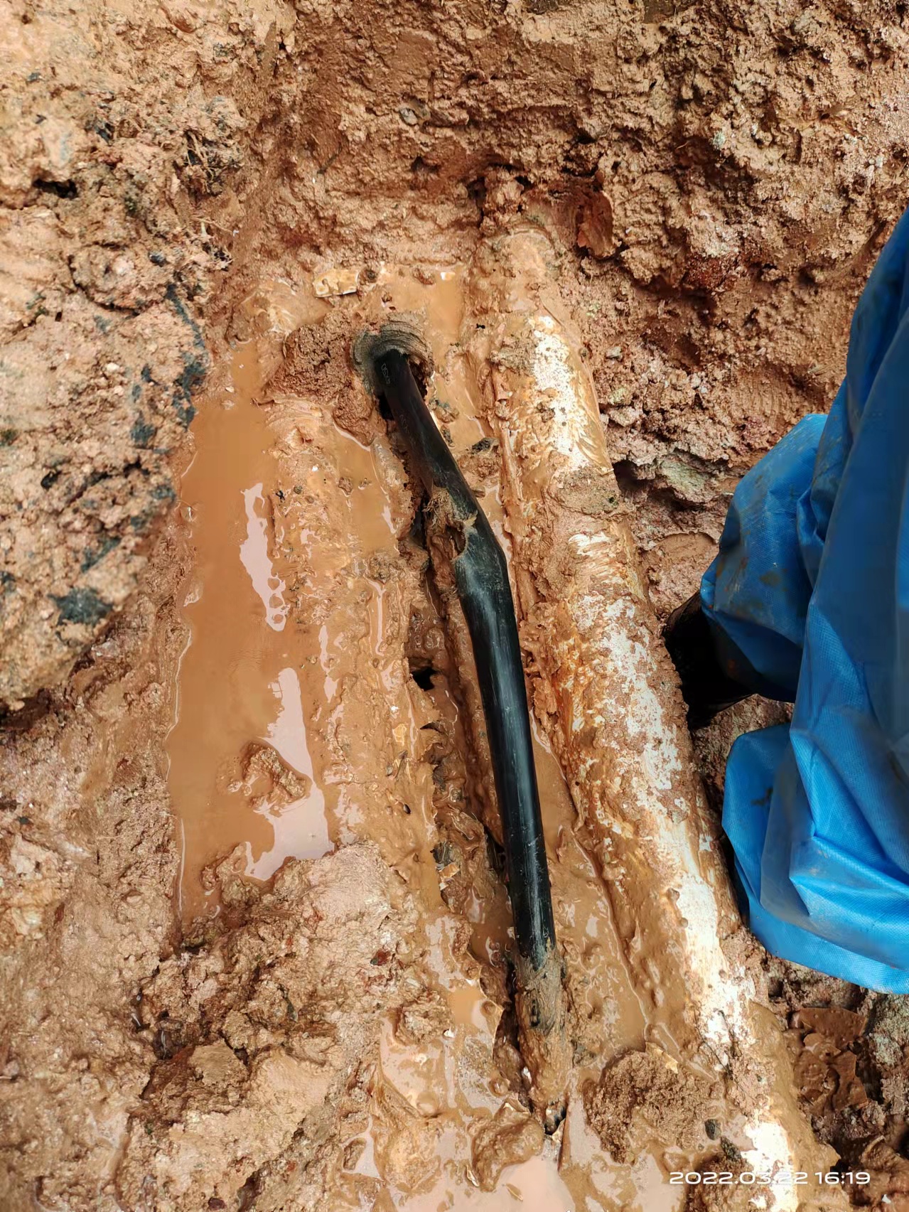 1648620596320203.jpg 1648620596320203.jpg