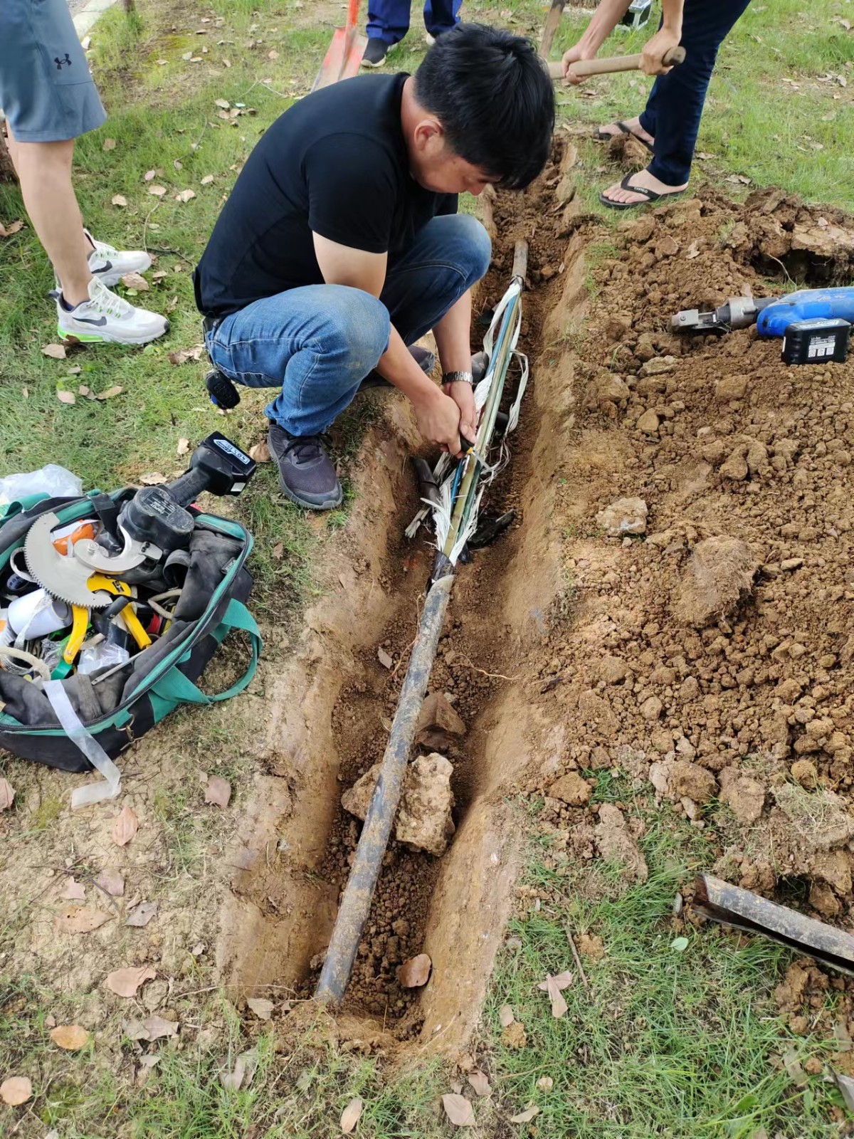 1655079644348932.jpg 1655079644348932.jpg