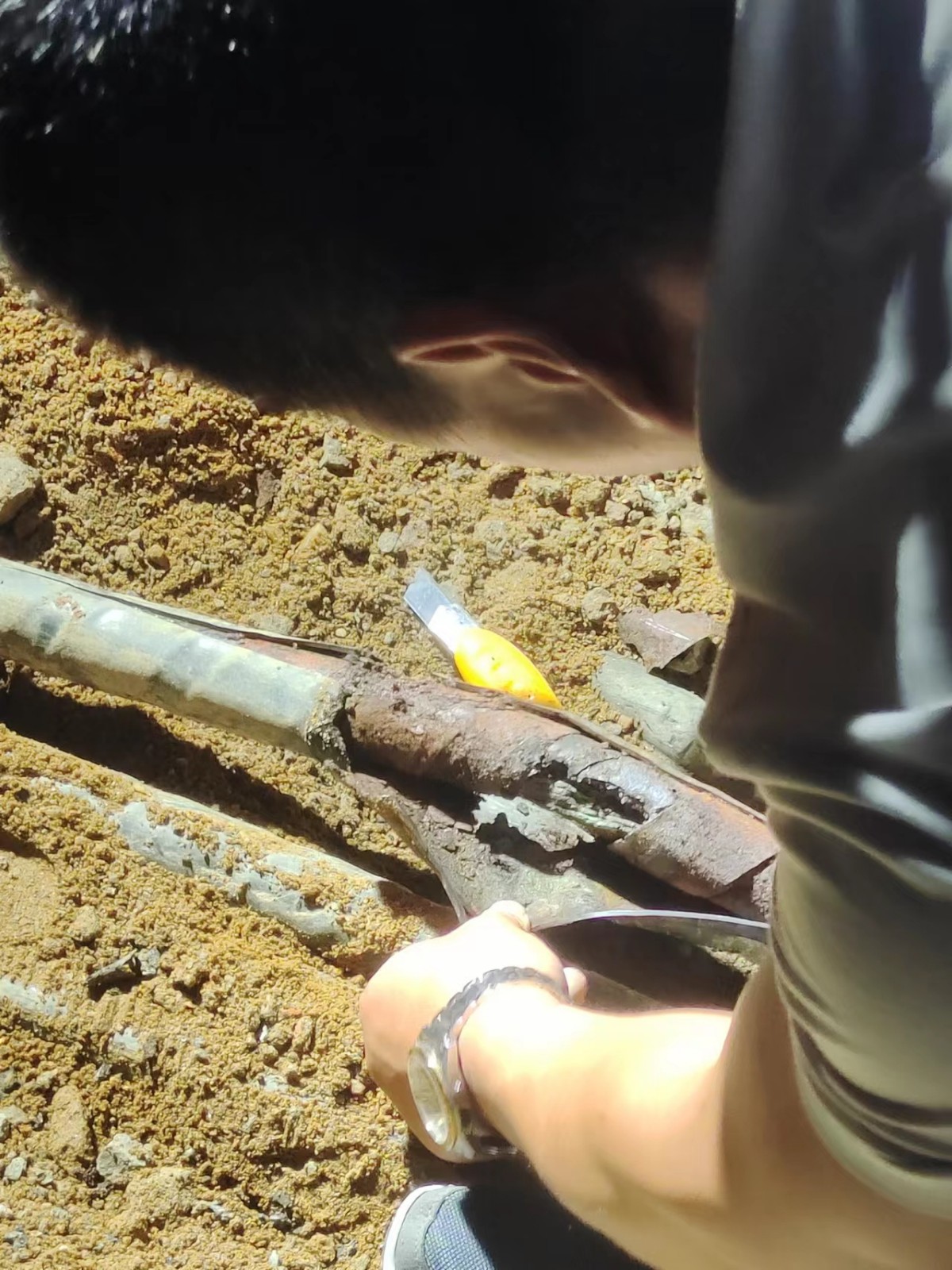 1663913621778700.jpg 1663913621778700.jpg