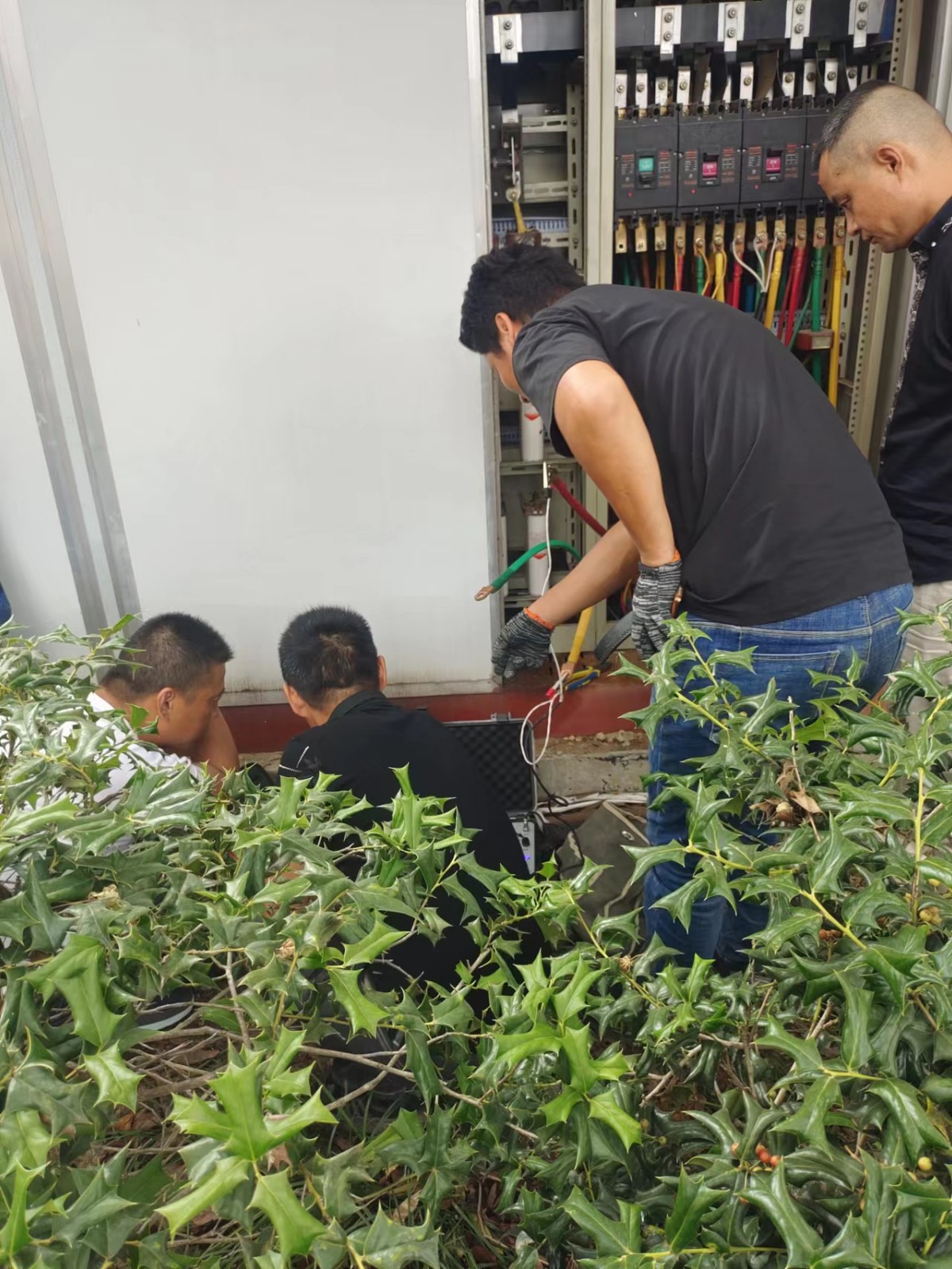 1663913667389355.jpg 1663913667389355.jpg