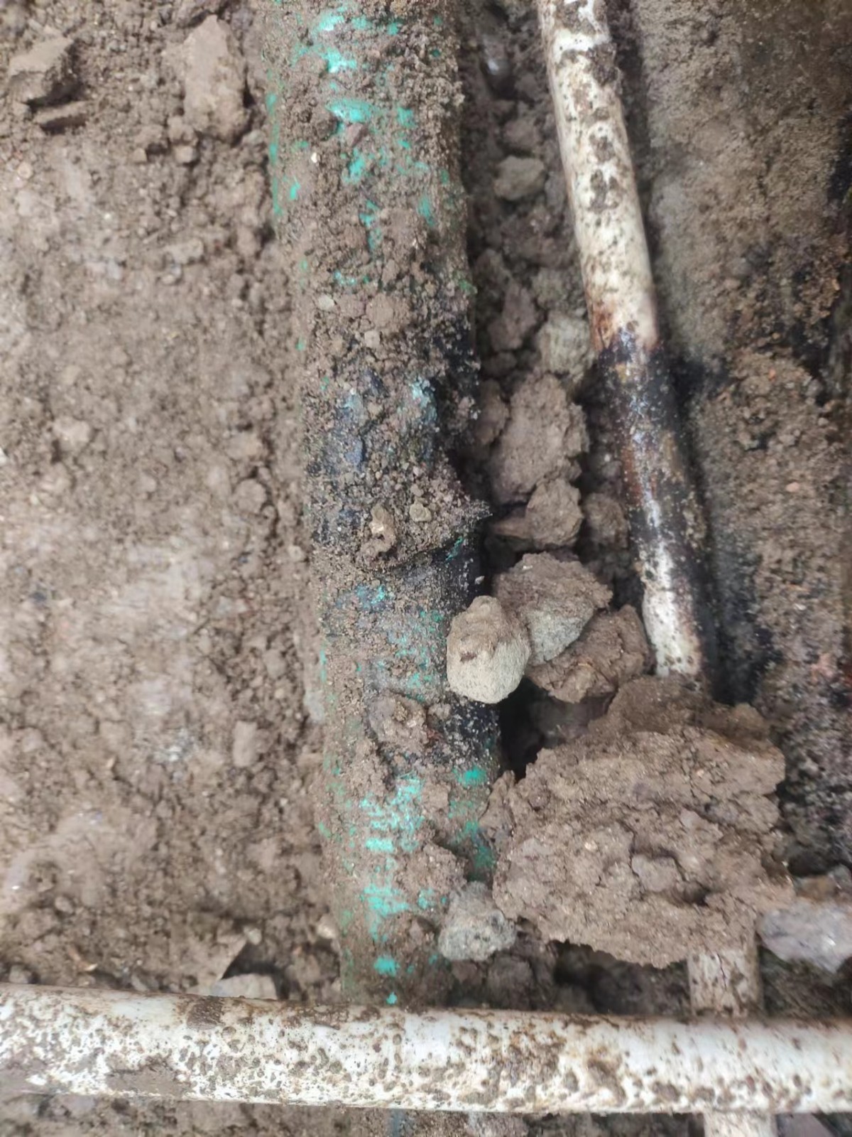 1670208813227383.jpg 1670208813227383.jpg