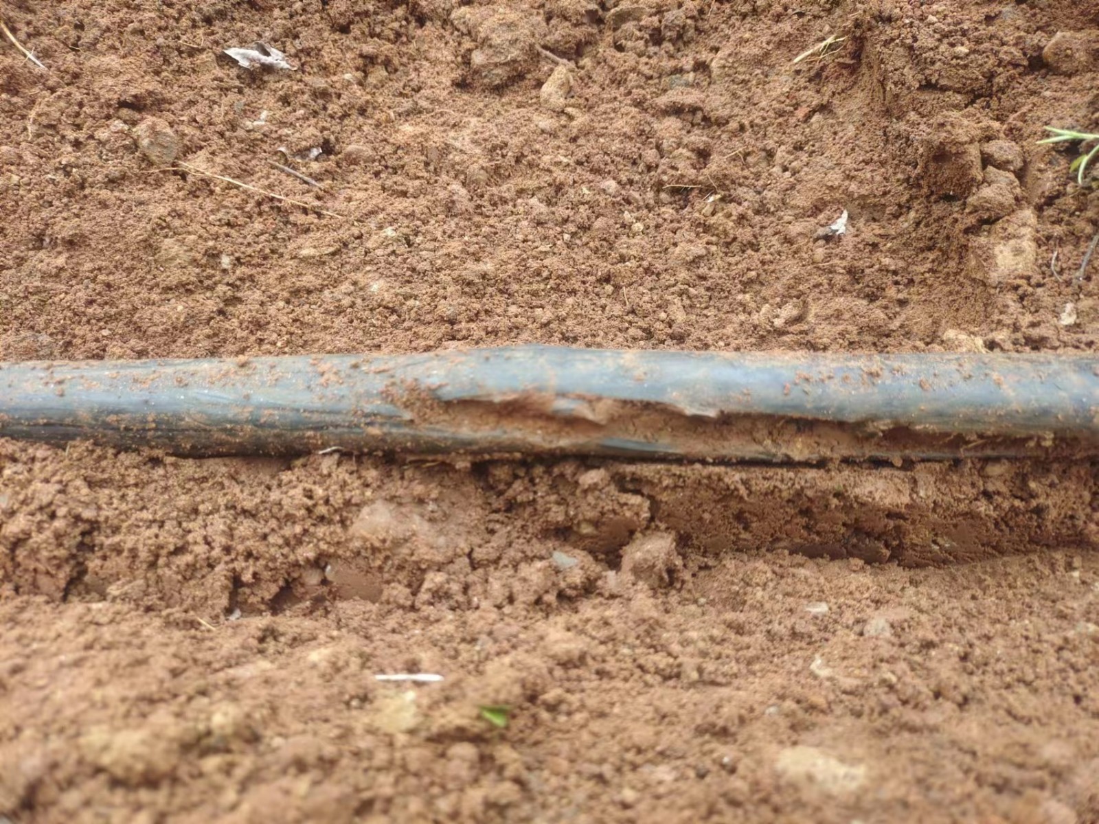 1670894797565406.jpg 1670894797565406.jpg