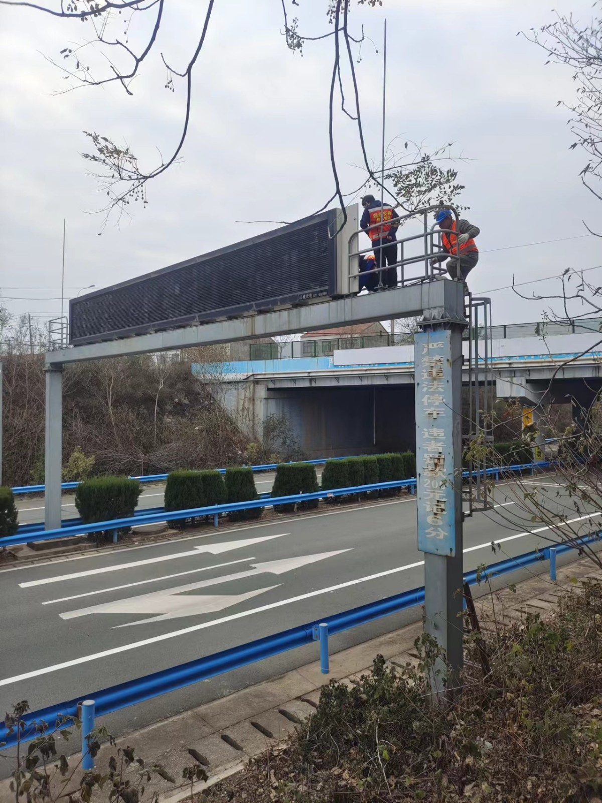 1670894839631447.jpg 1670894839631447.jpg