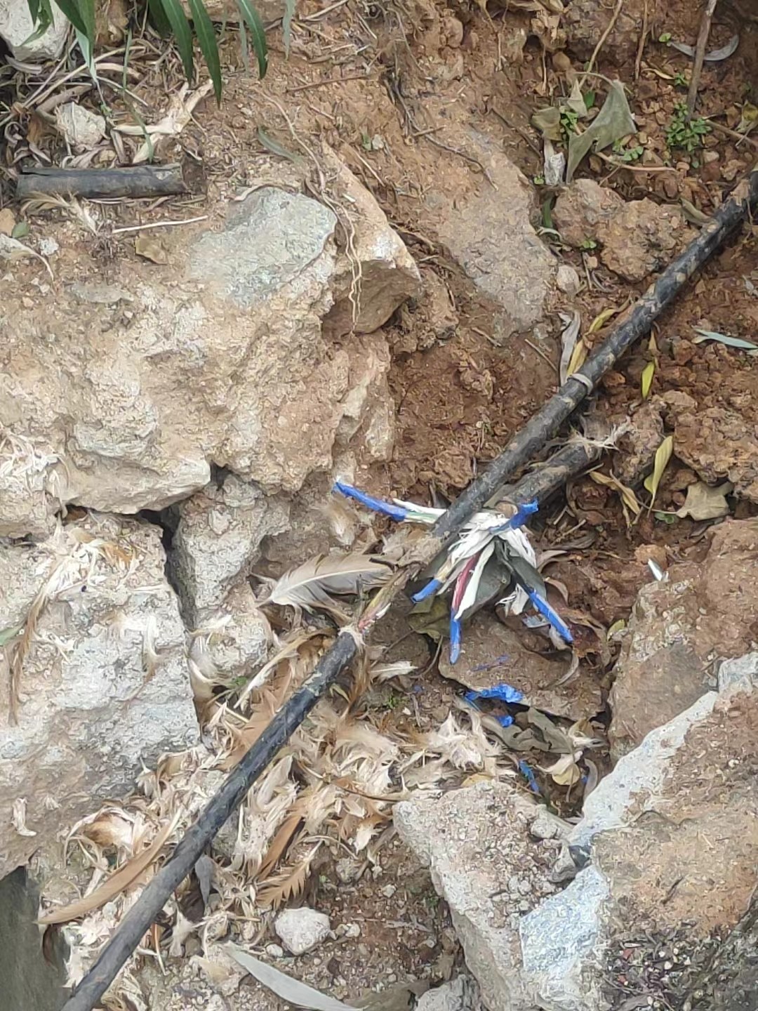 1670899070177267.jpg 1670899070177267.jpg