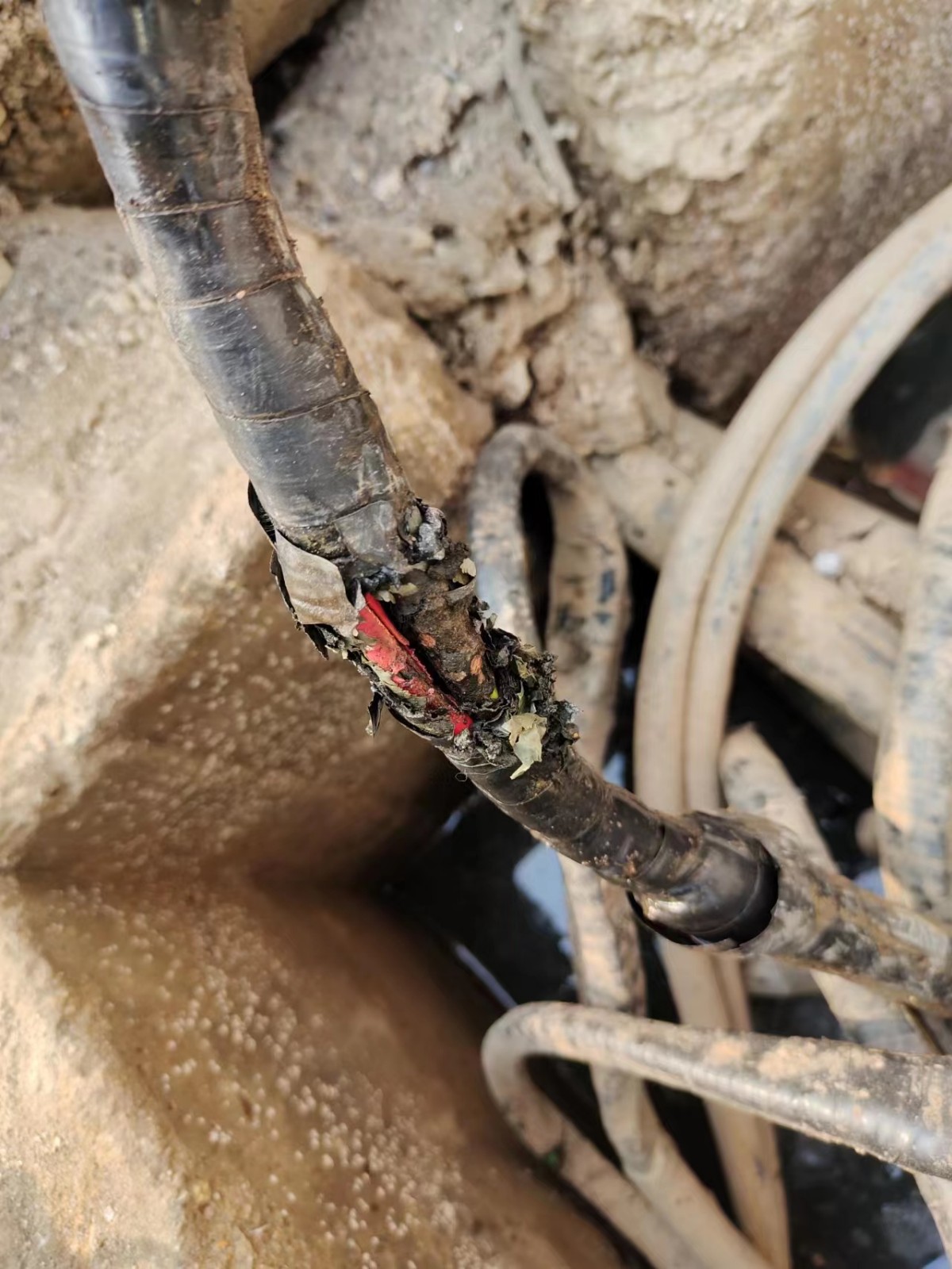 1670899723766644.jpg 1670899723766644.jpg