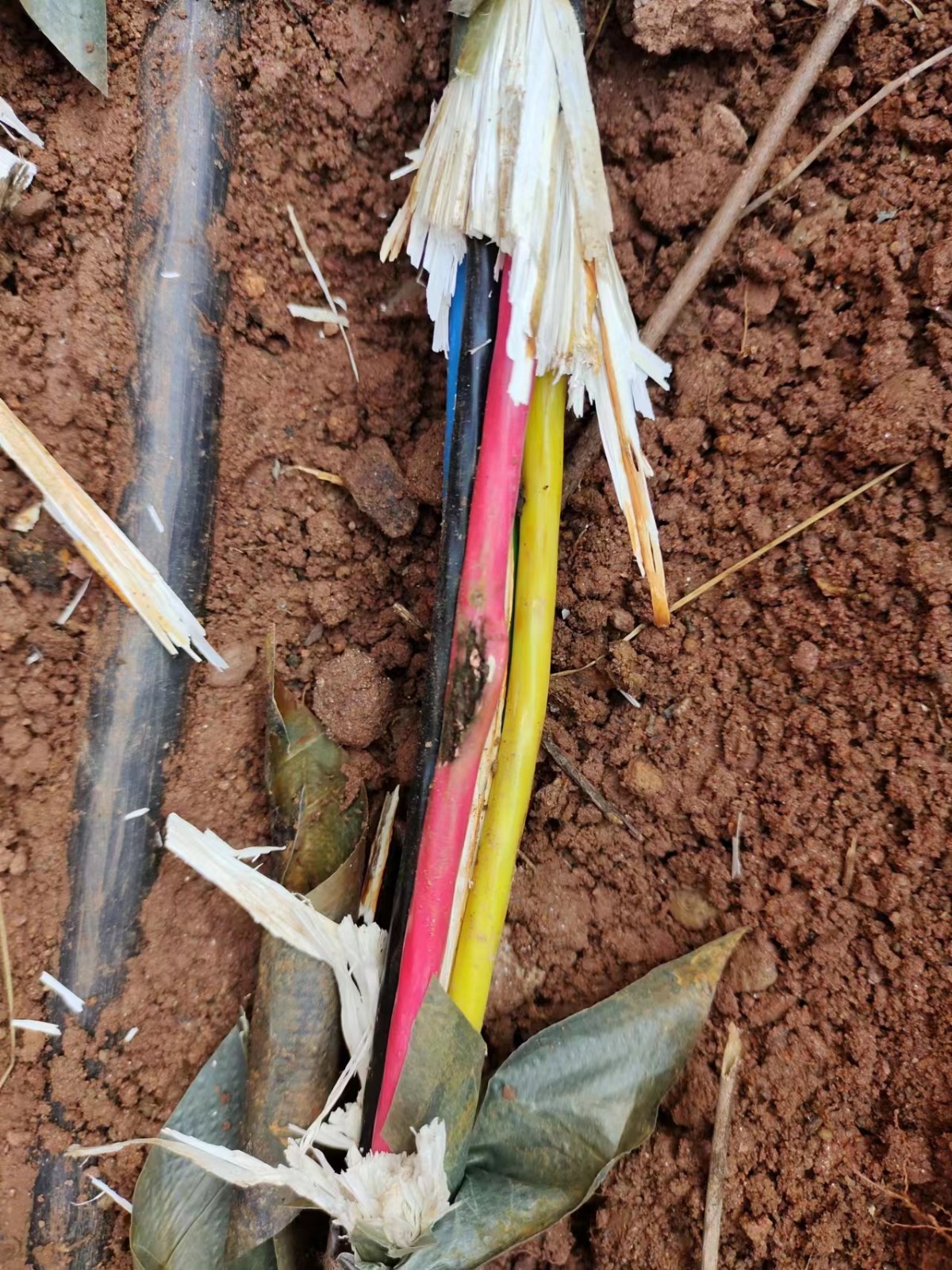 1670899751624230.jpg 1670899751624230.jpg