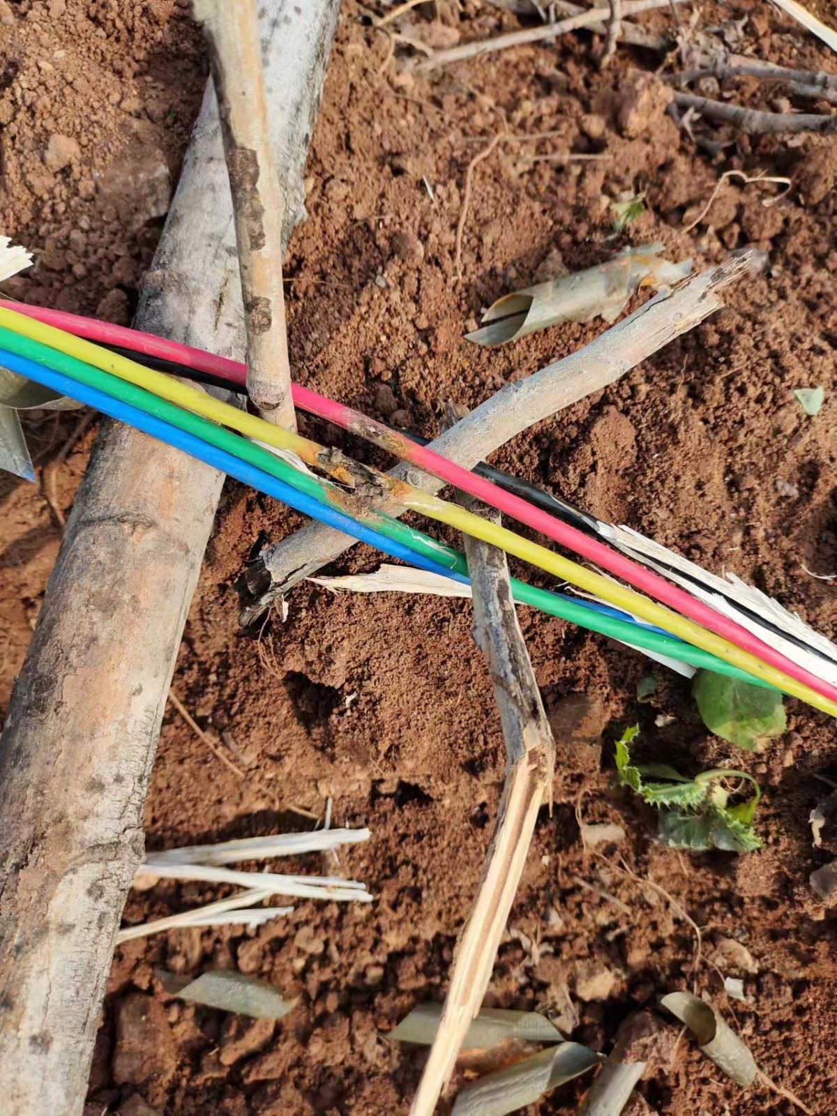 1671586537178515.jpg 1671586537178515.jpg