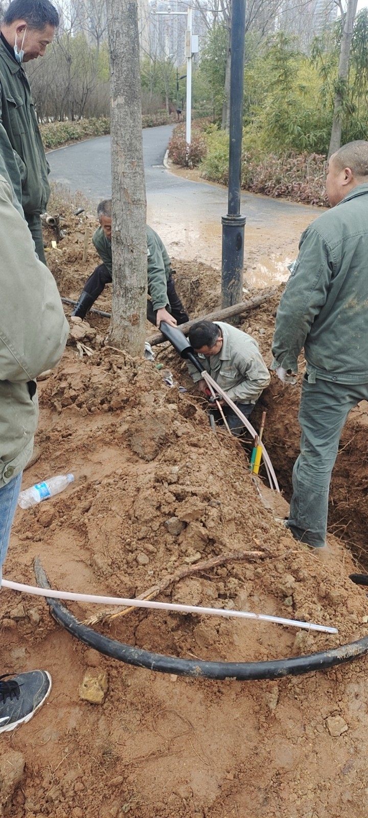 1677739864527333.jpg 1677739864527333.jpg