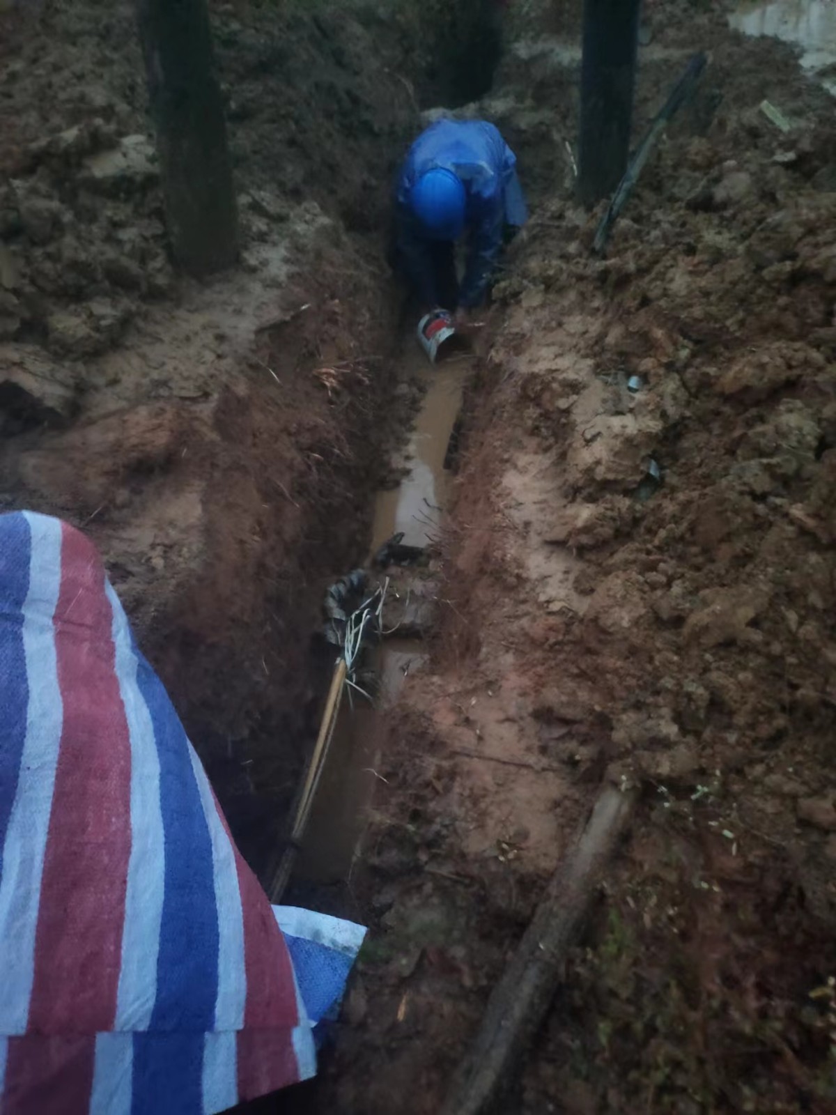 1677739864587841.jpg 1677739864587841.jpg