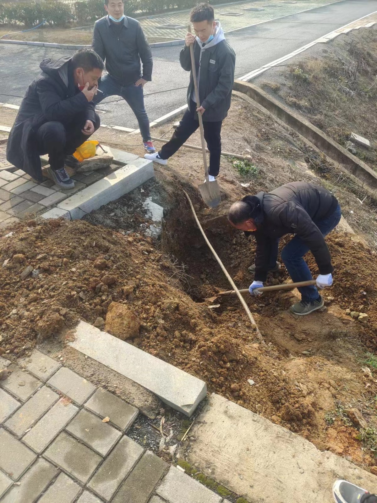 1677807580408888.jpg 1677807580408888.jpg