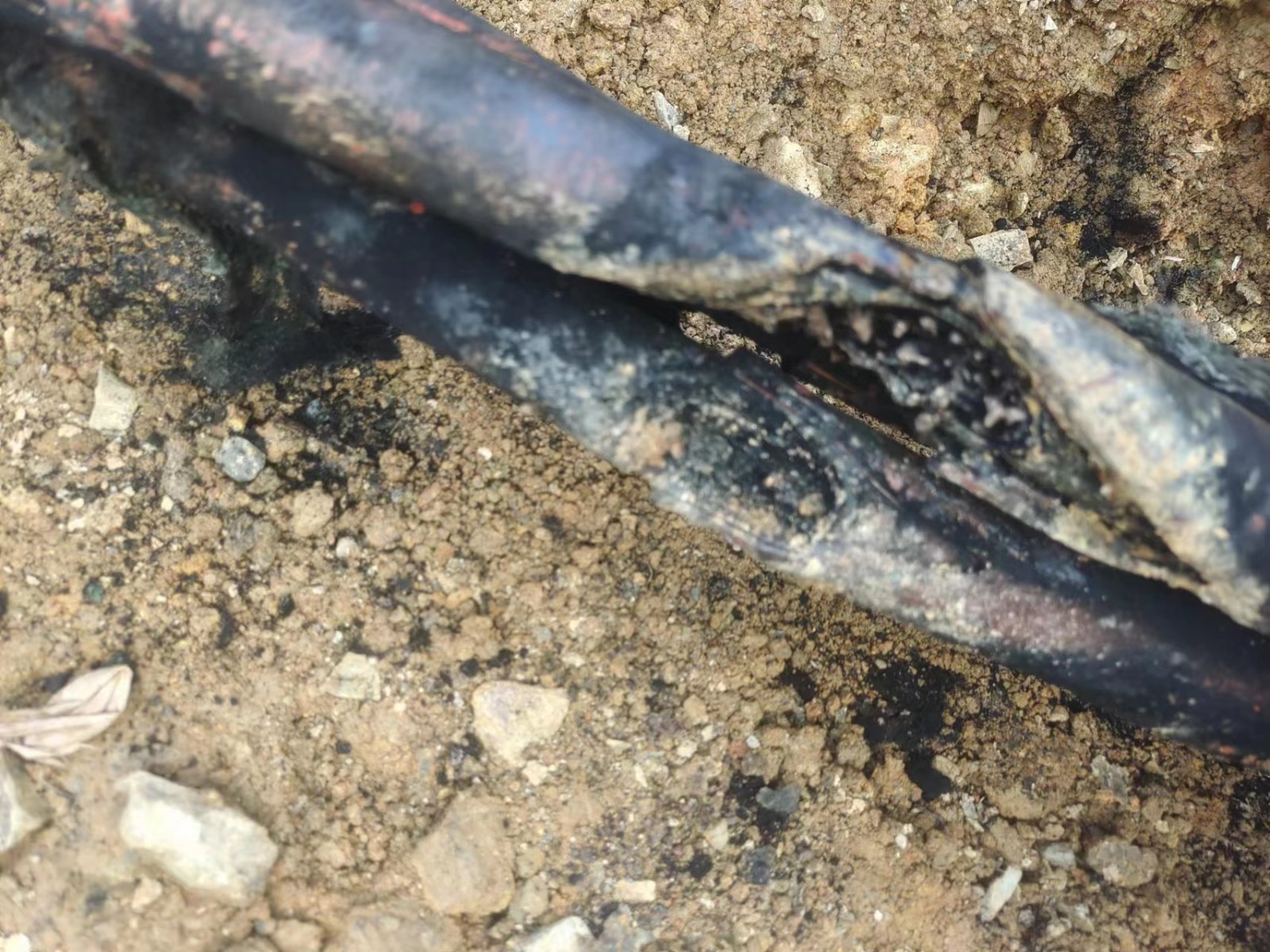 1677807581291335.jpg 1677807581291335.jpg