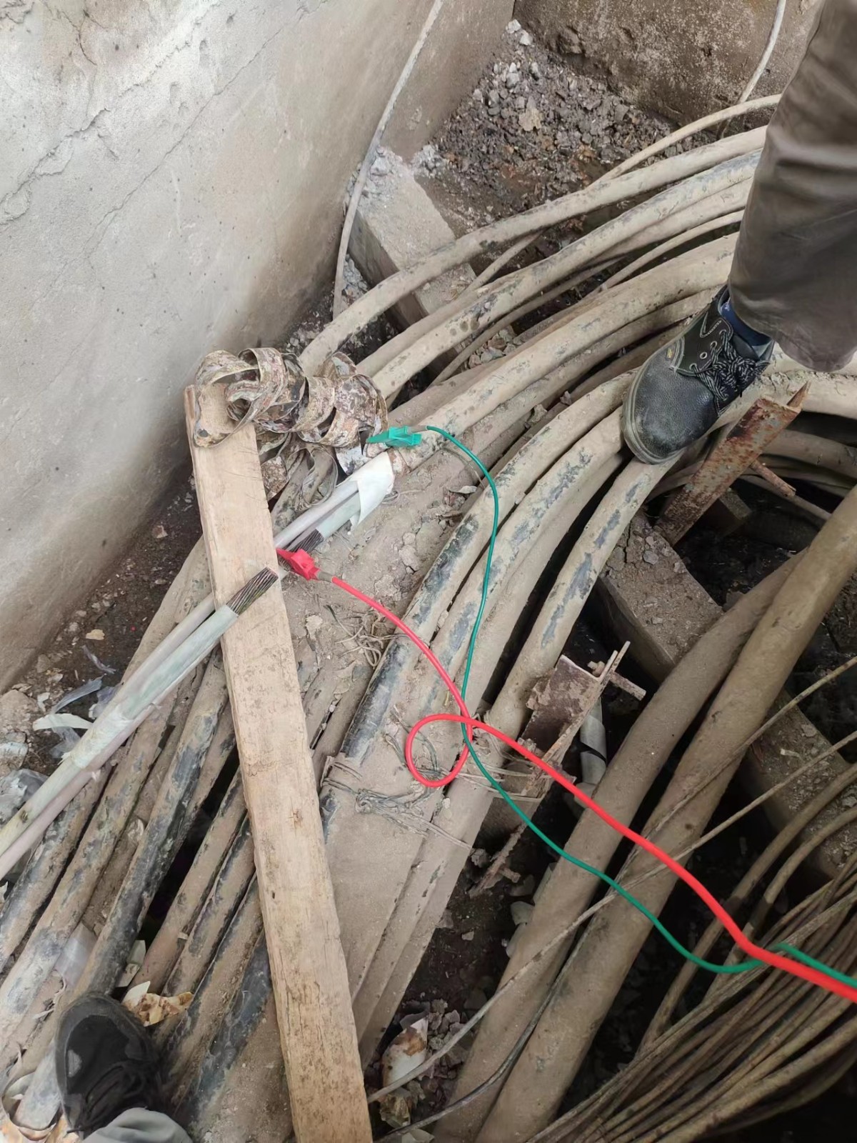 1688954571950436.jpg 1688954571950436.jpg