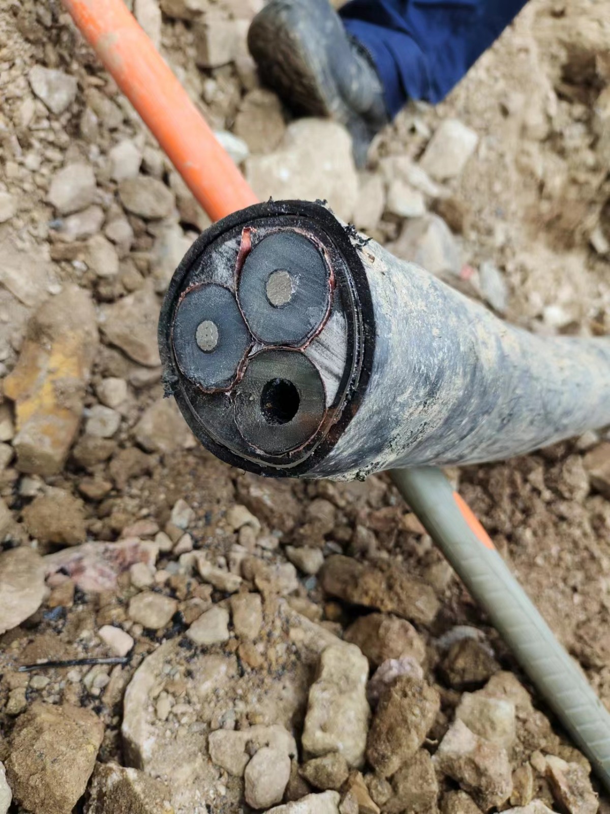 1689140836519628.jpg 1689140836519628.jpg