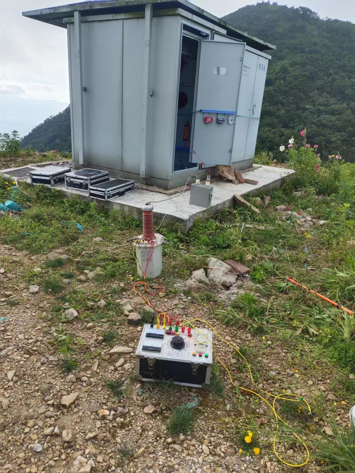 1689140836743643.jpg 1689140836743643.jpg