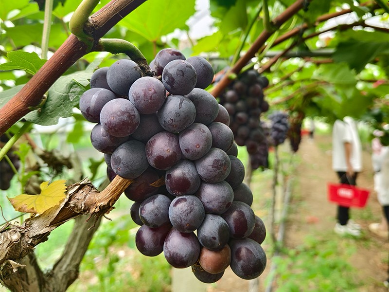 1720689107362314.jpg 老网站.jpg