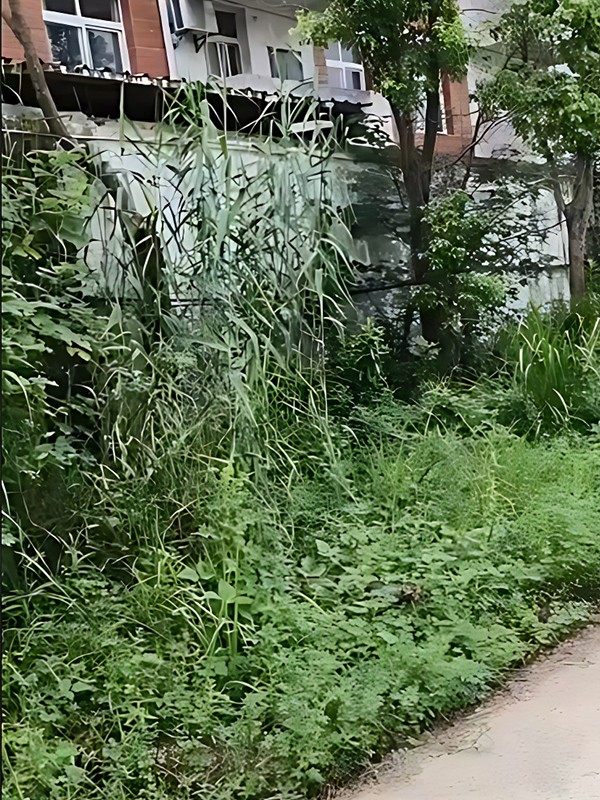 1721380292295746.jpg 老网站2.jpg