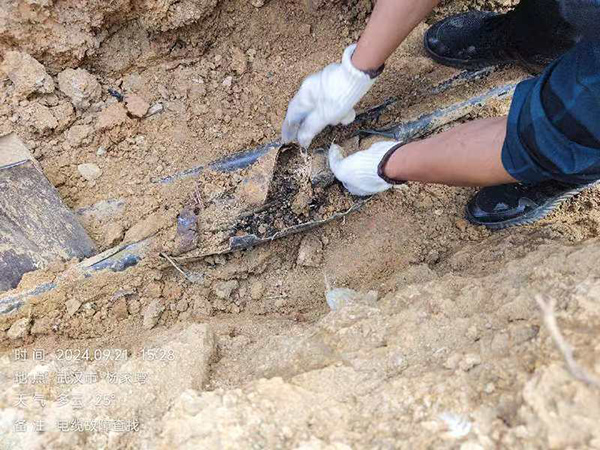 1727150264741591.jpg 老3.jpg